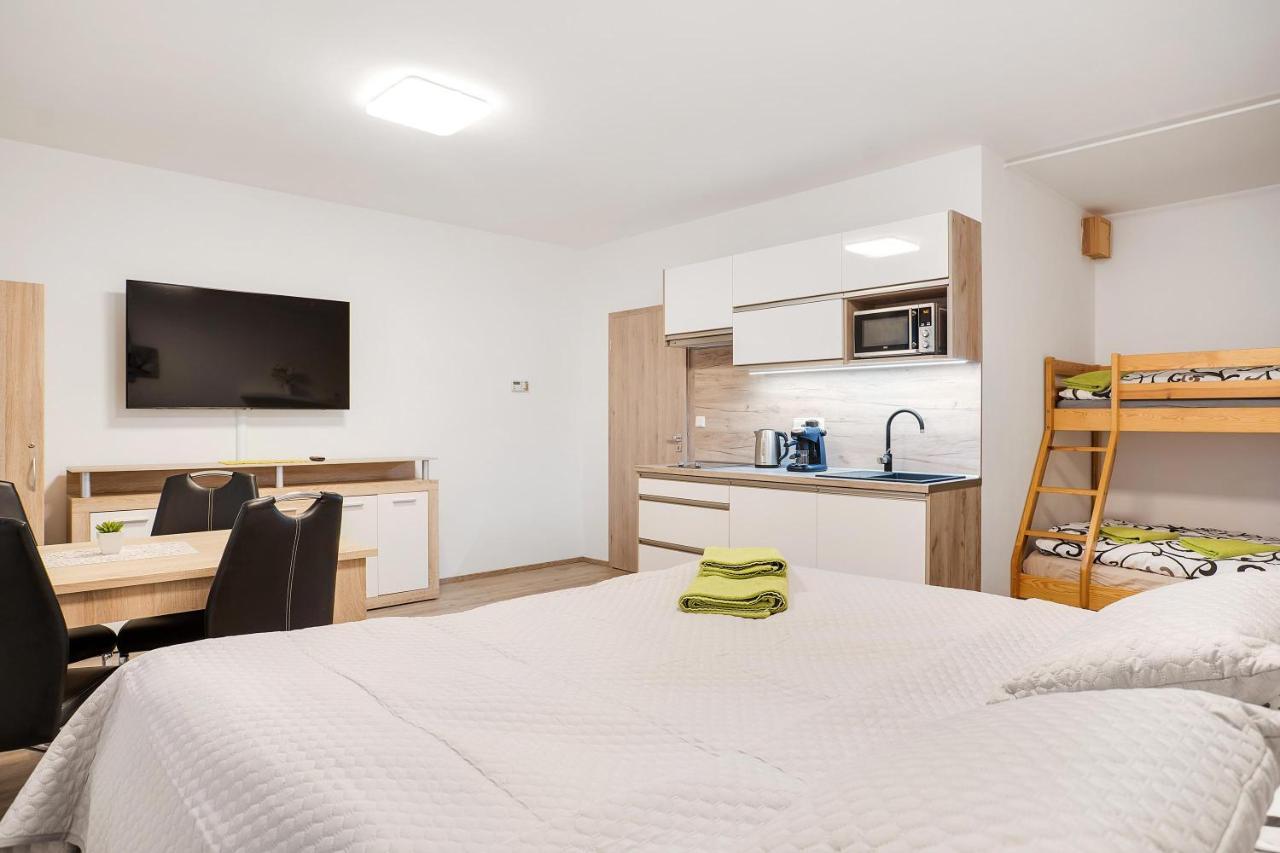 Apartman Alfa Klinovec Loučná pod Klínovcem Buitenkant foto